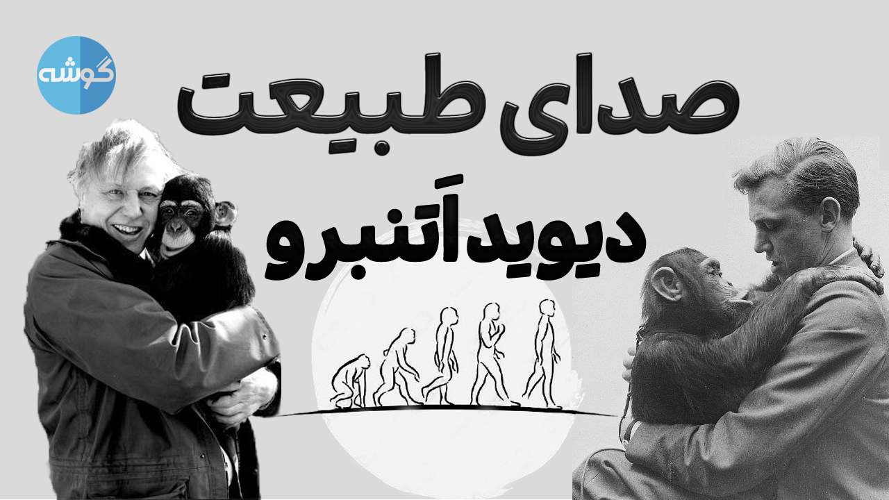 پادکست سیزدهم گوشه؛ دیوید اَتنبرو؛ صدای طبیعت